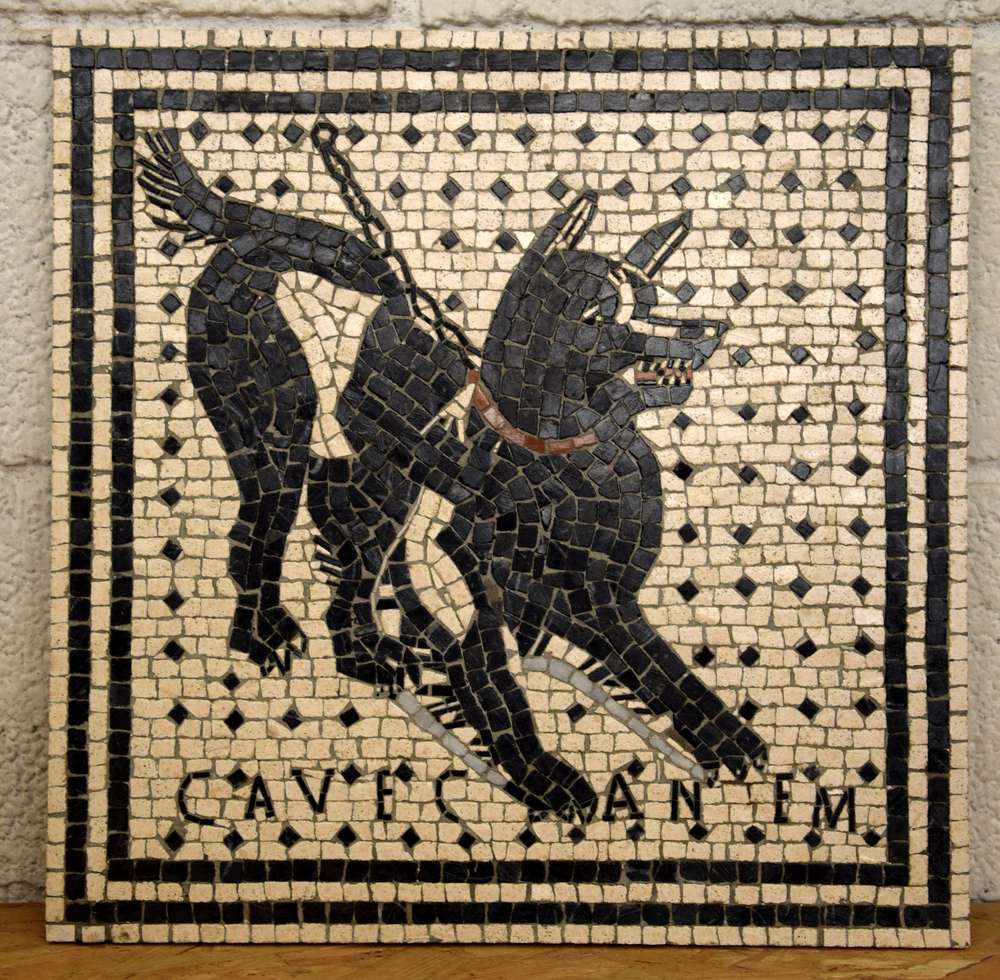 Cave Canem